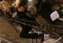 Huhuja ja pikkuinfoa