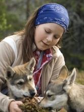 Suden arvoitus kansainväliseen levitykseen