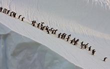 Planeettamme maa saa jatkoa - uusia kuvia Planeettamme maa saa jatkoa - uusia kuvia