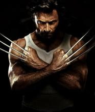 Wolverine on vain Wolverine